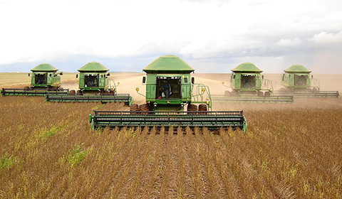 Agro Amazonia provides agricultural input business