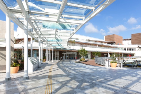 Urban development projects